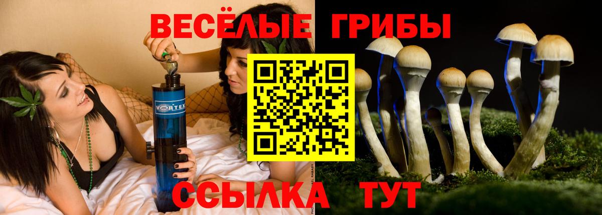 Гагарин  Псилоцибиновые грибы GOLDEN TEACHER  Вход с VPN  Галлюциногенные грибы MAGIC MUSHROOMS 